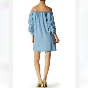 Zara Denim Butterfly chambray dress, size large